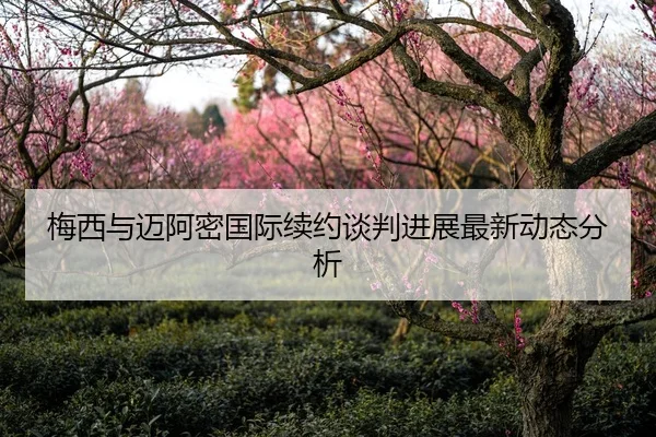 梅西与迈阿密国际续约谈判进展最新动态分析